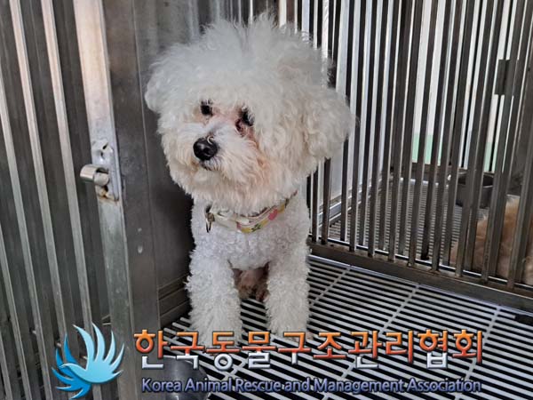 한국동물구조관리협회_411311202400500